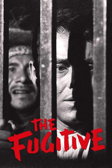 The Fugitive